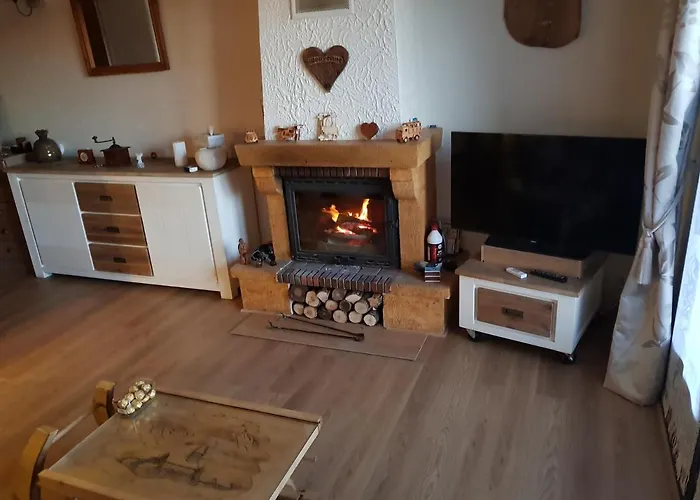 Appartement avec cheminée et jardin